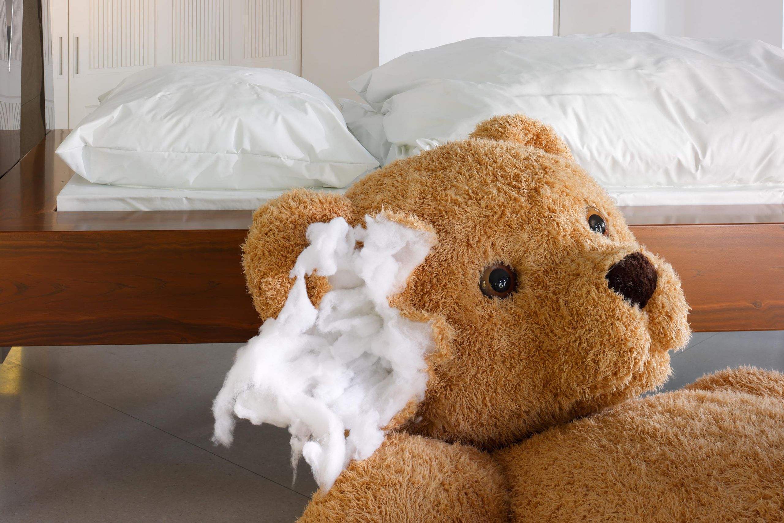 The teddy bear
