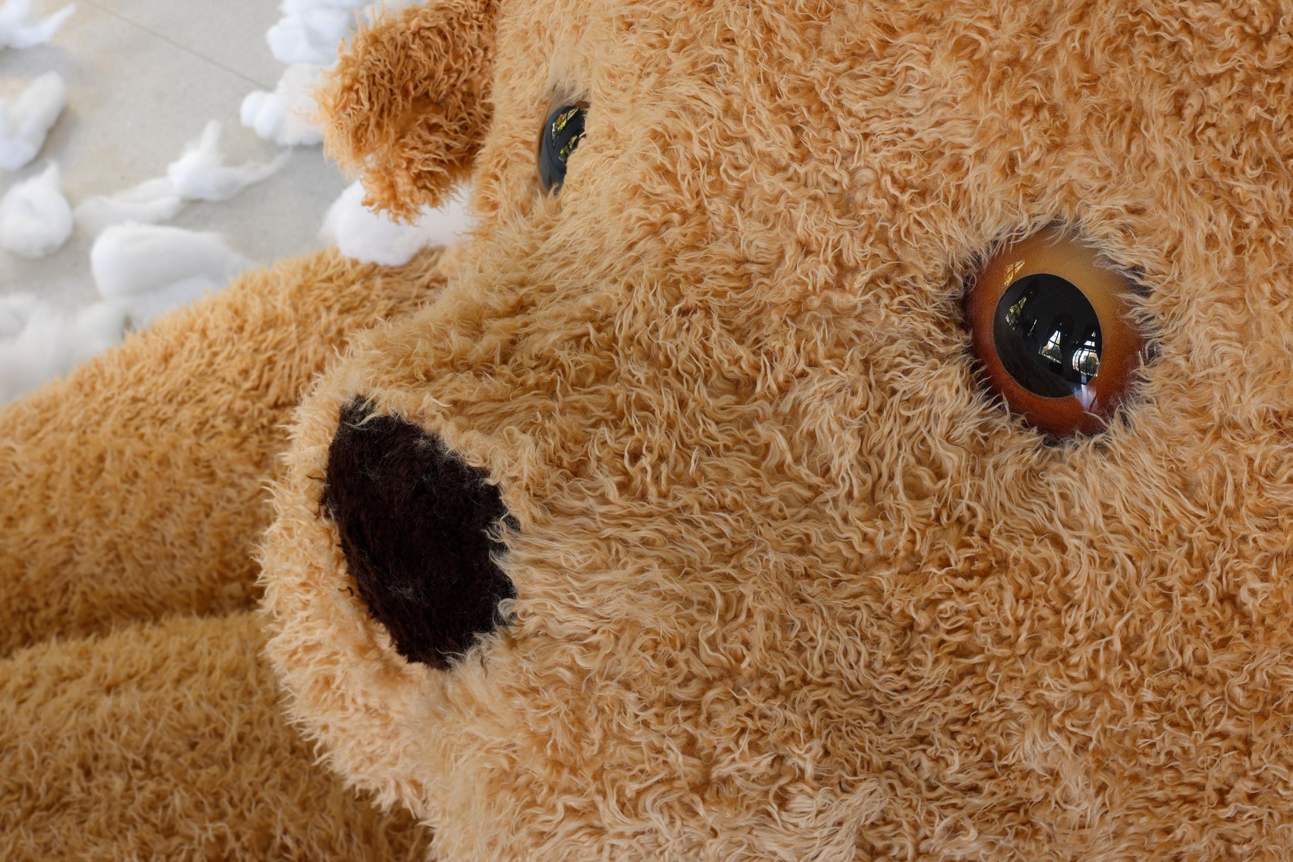 The teddy bear