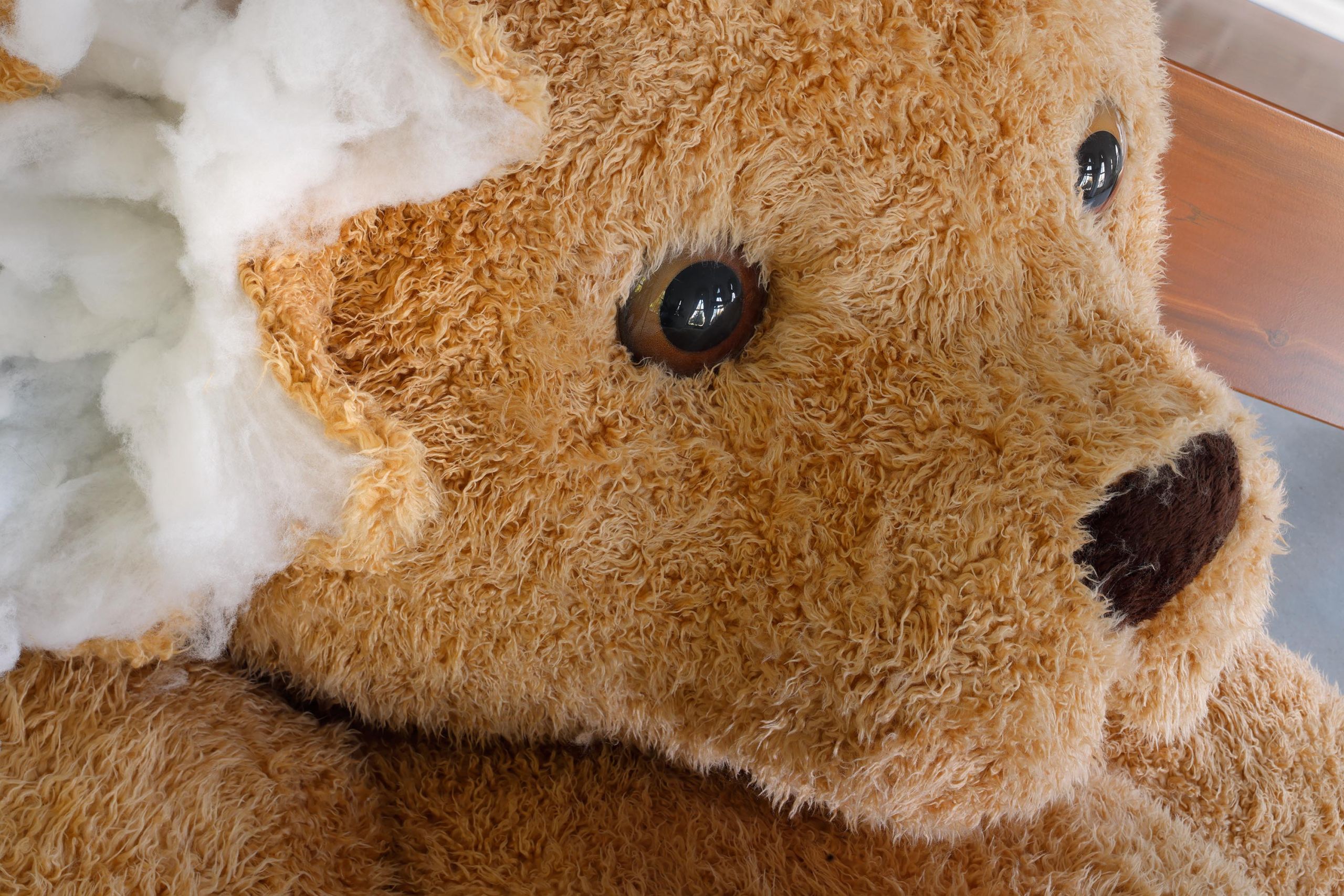 The teddy bear